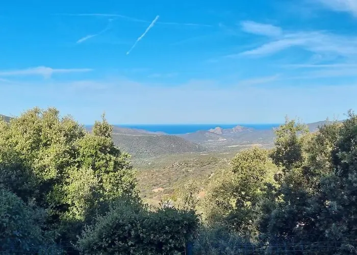 Vos Vacances A Lama France Corse