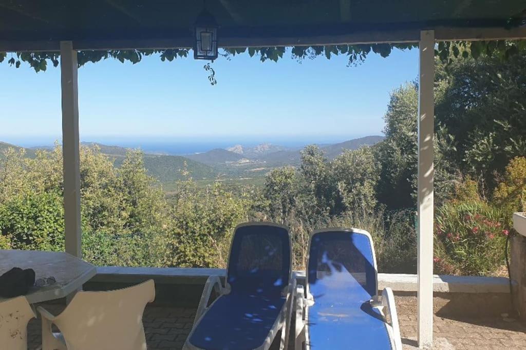 Vos A France Corse Lama