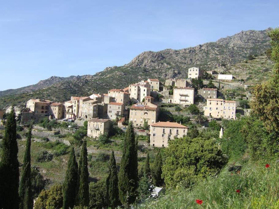 Holiday home Vos A France Corse Lama