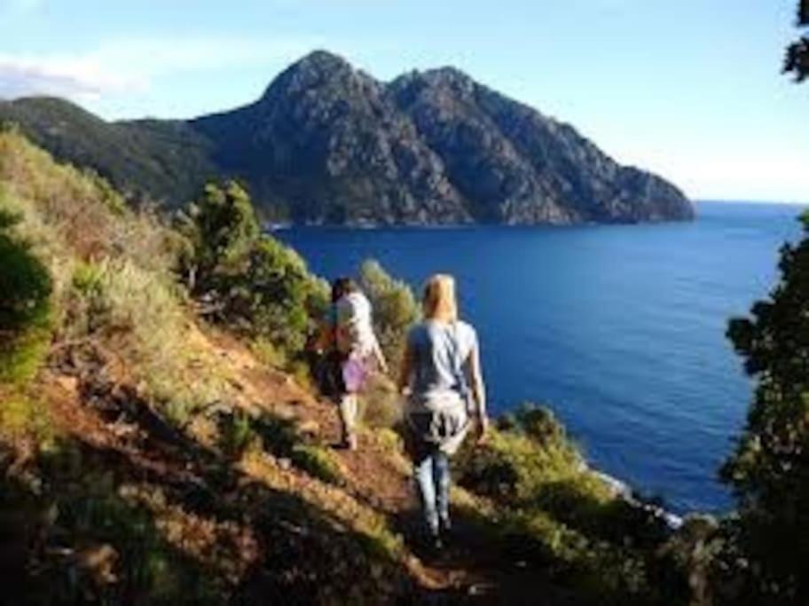 Hébergement de vacances Vos à *