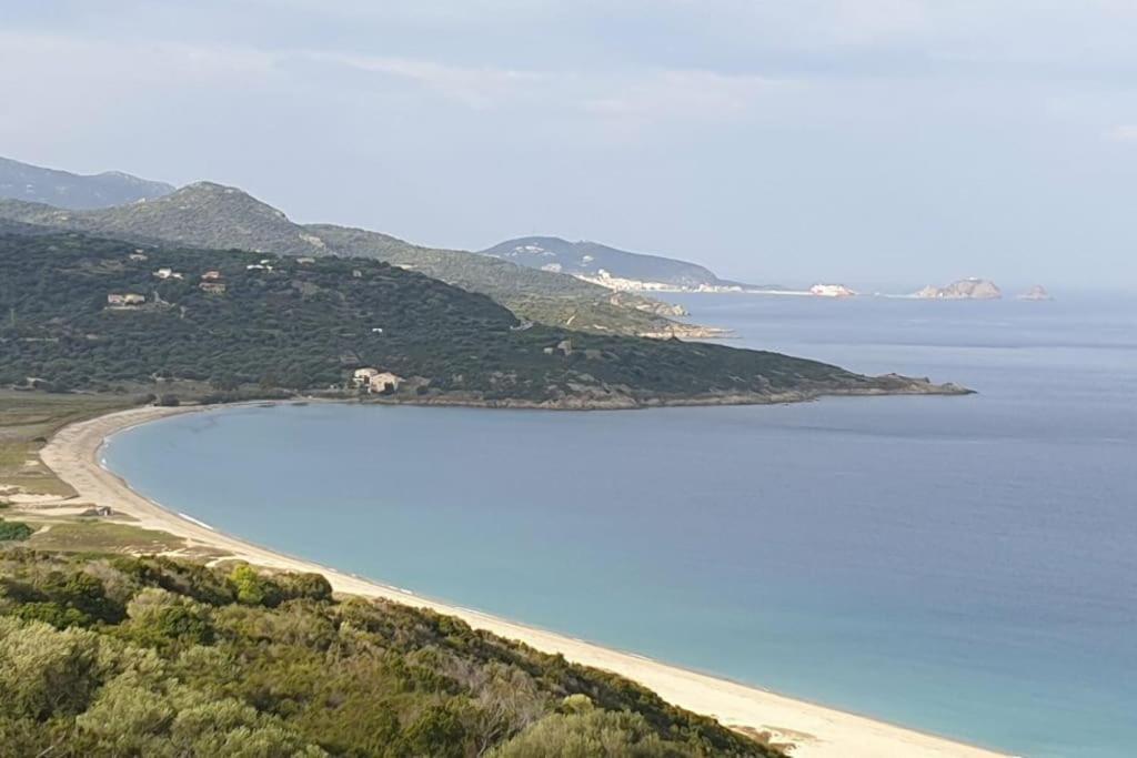 Vos à * Lama
