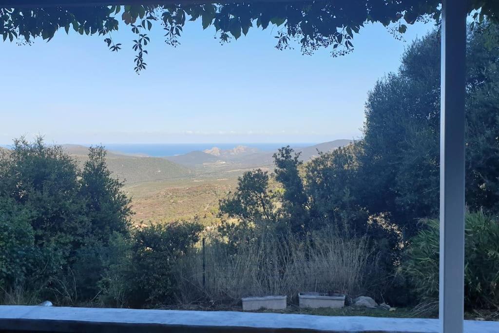 Vos à
