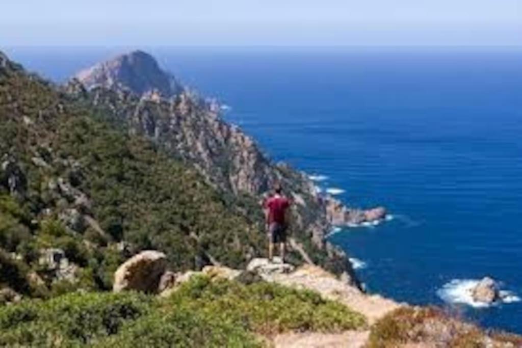 Vos A France Corse * Lama